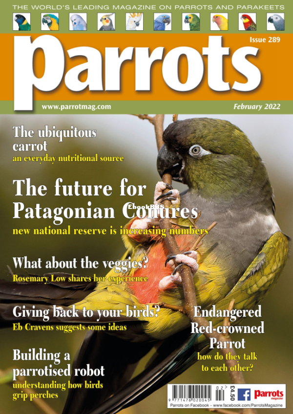 Parrots__February_2022 - 1.png