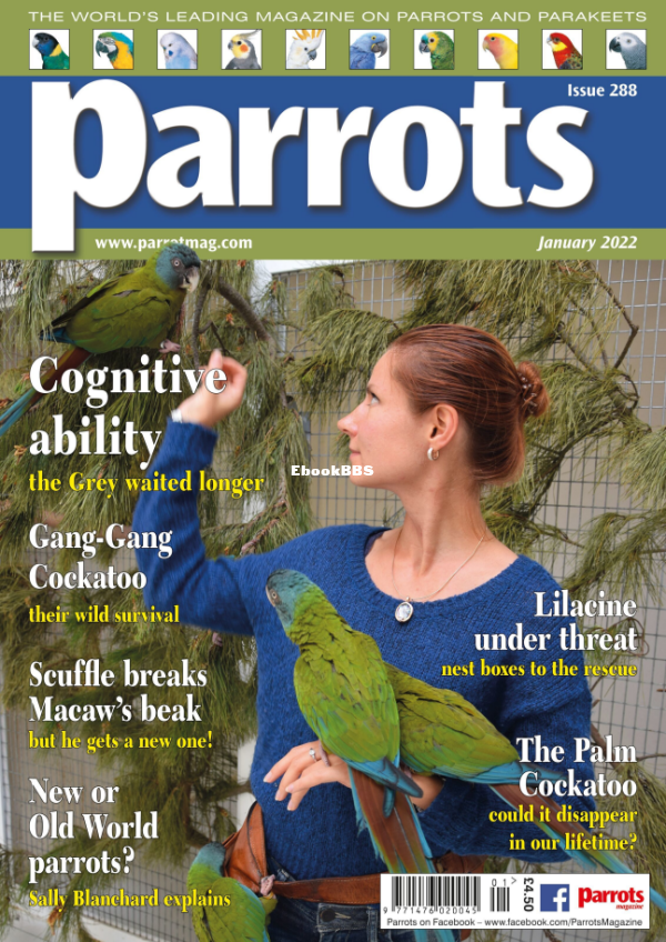Parrots__January_2022 - 1.png