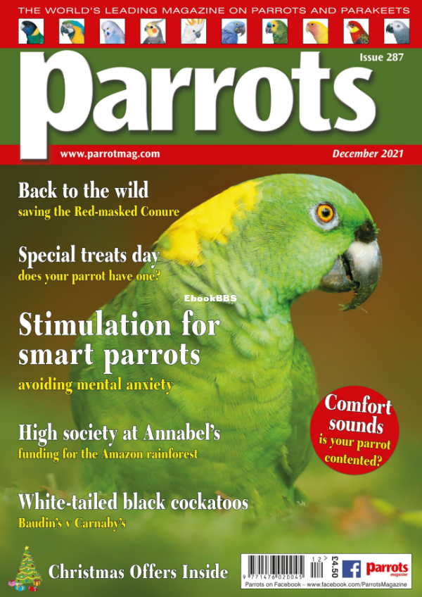 Parrots__December_2021 - 1.png