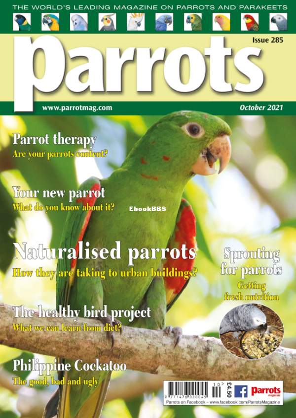 Parrots__October_2021 - 1.png