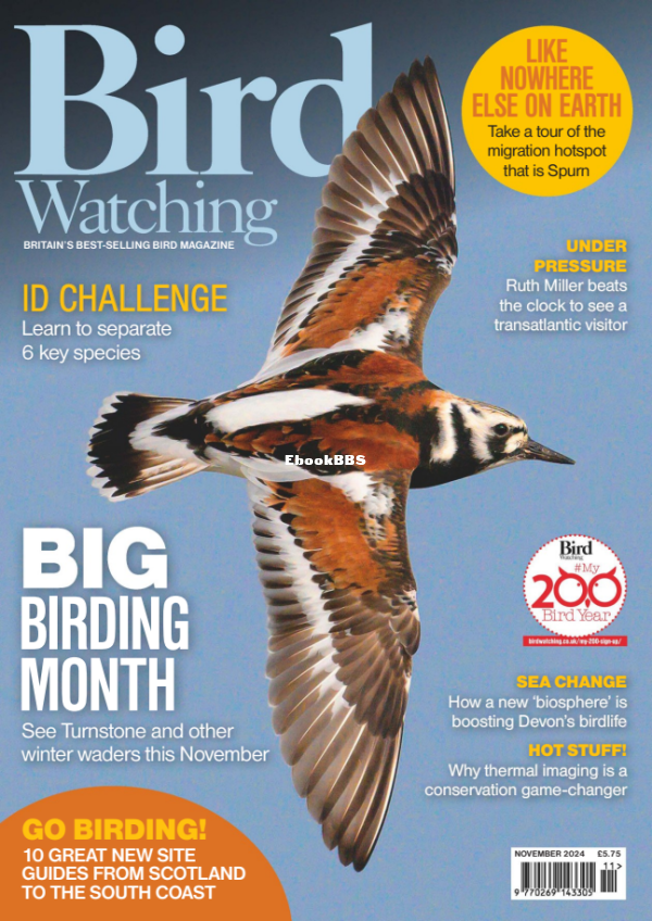 Bird_Watching_UK_-_November_2024 - 1.png