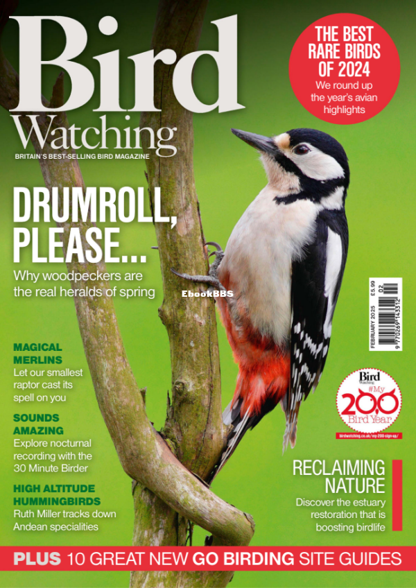 Bird_Watching_UK_-_February_2025 - 1.png