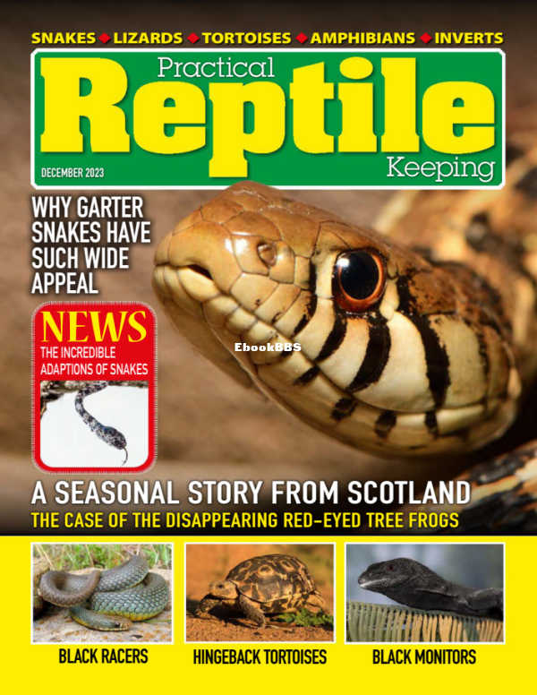 Practical_Reptile_Keeping_-_December_2023 - 1.png