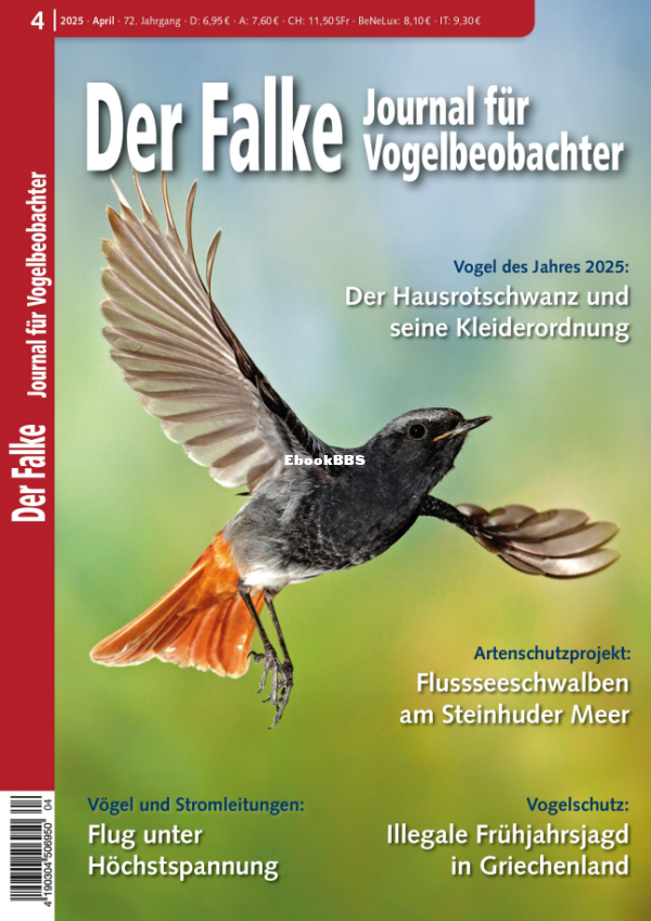 Der_Falke_4.25 - 1.png
