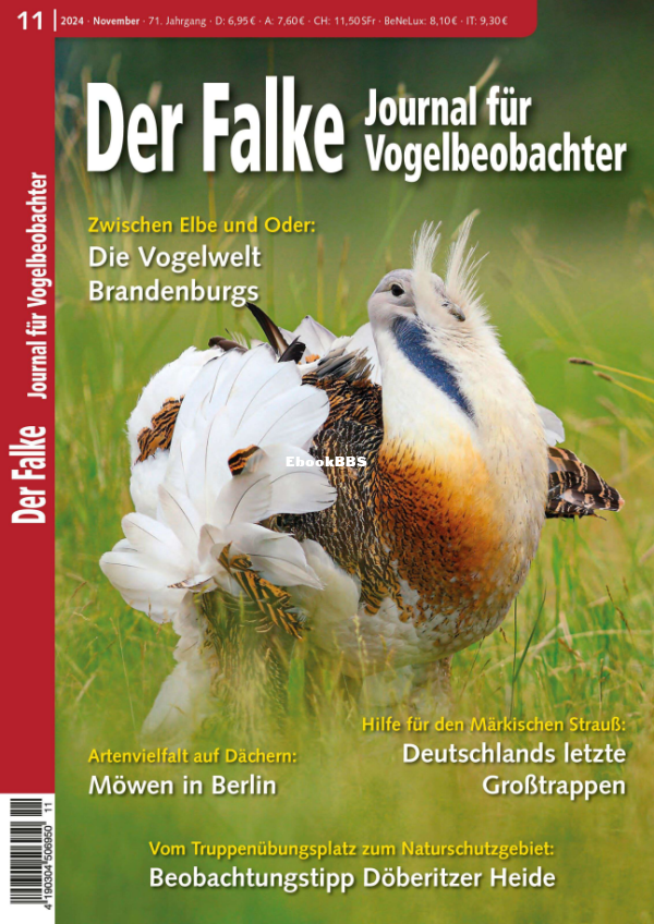 Der_Falke_11.24 - 1.png