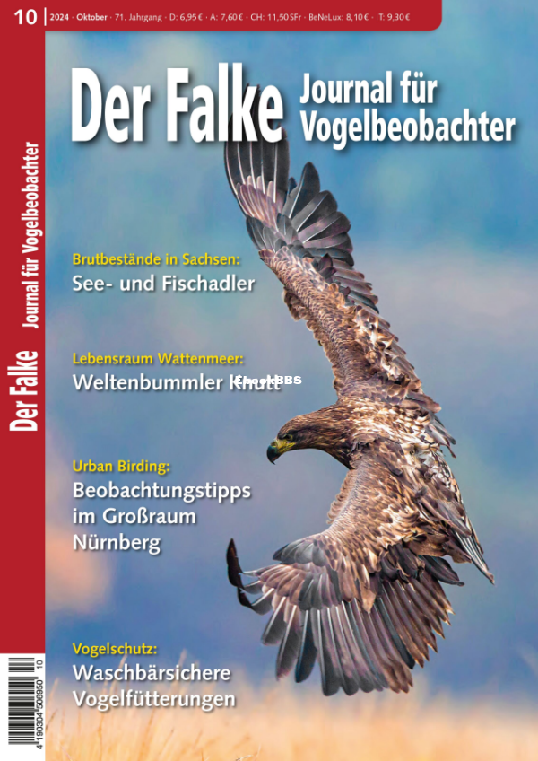 Der_Falke_10.24 - 1.png