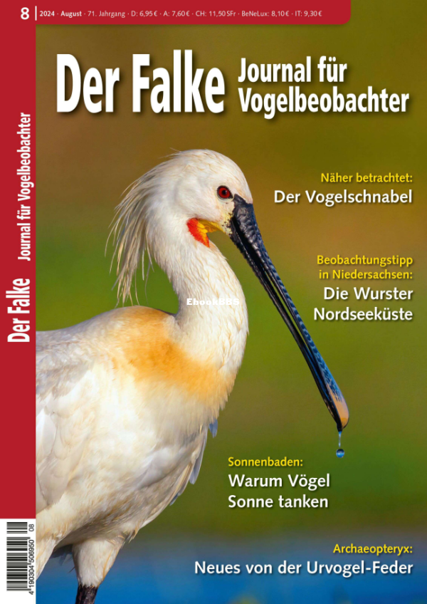 Der_Falke_8.24 - 1.png