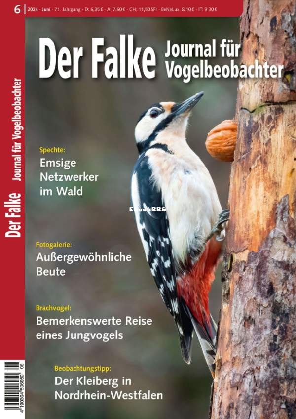 Der_Falke_6.24 - 1.png