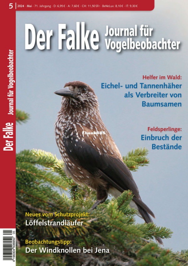 Der_Falke_5.24 - 1.png