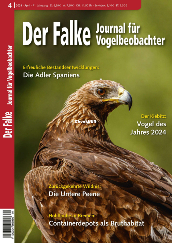Der_Falke_4.24 - 1.png