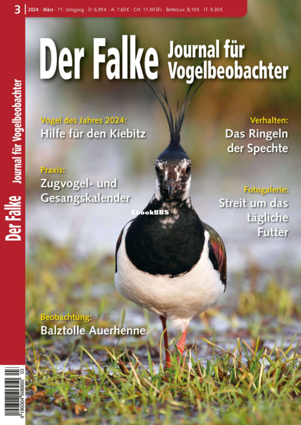 Der_Falke_3.24 - 1.png