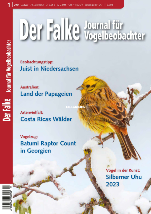 Der_Falke_1.24 - 1.png