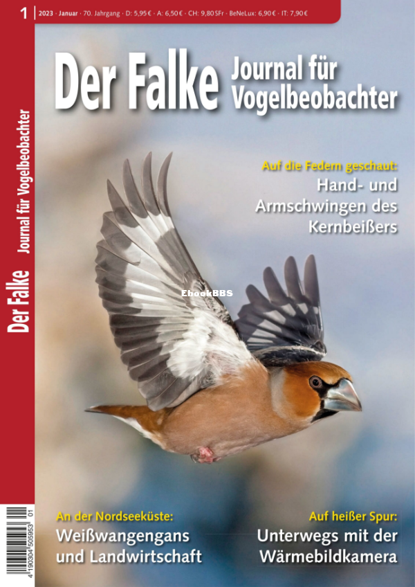 Der_Falke_1.23_ - 1.png