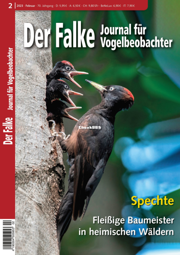 Der_Falke_2.23 - 1.png