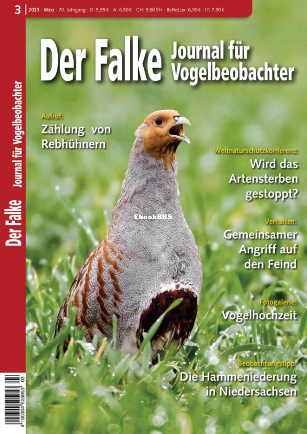 Der_Falke_3.23 - 1.png