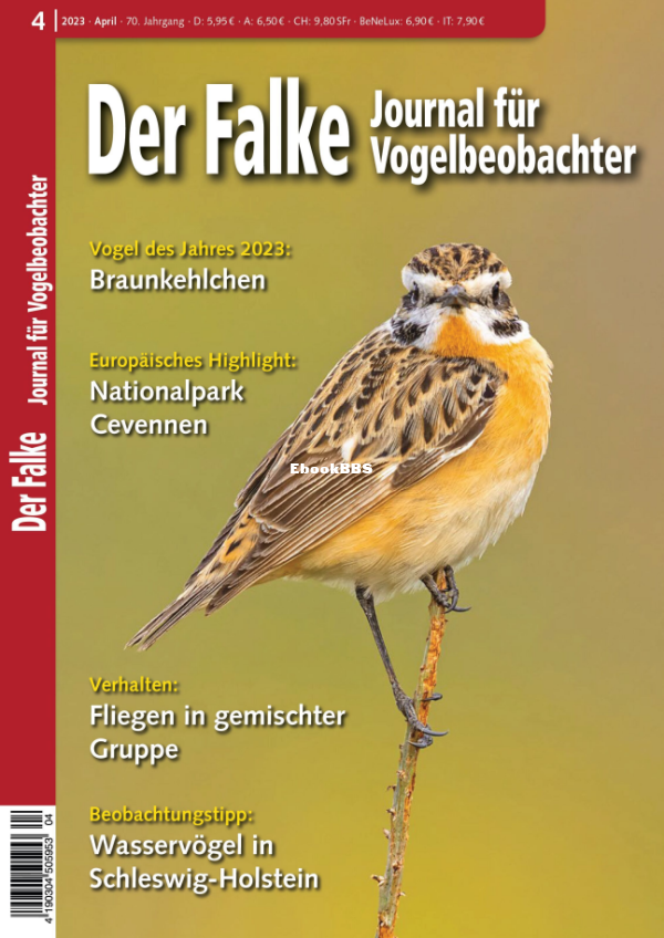 Der_Falke_4.23 - 1.png