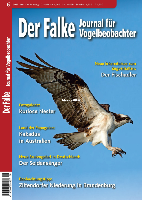 Der_Falke_6.23 - 1.png