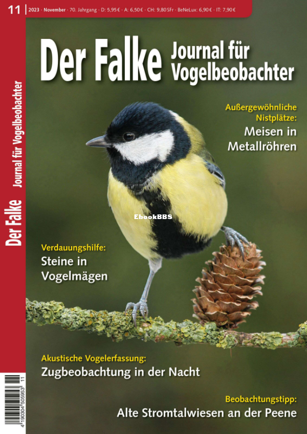 Der_Falke_11.23 - 1.png