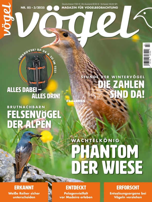 Vögel_3.25 - 1.png