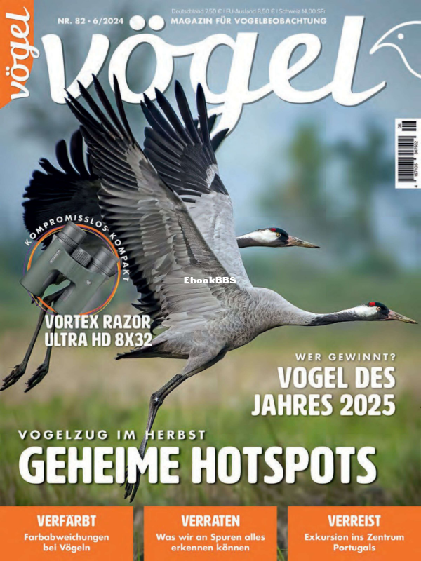 Vögel_6.24 - 1.png