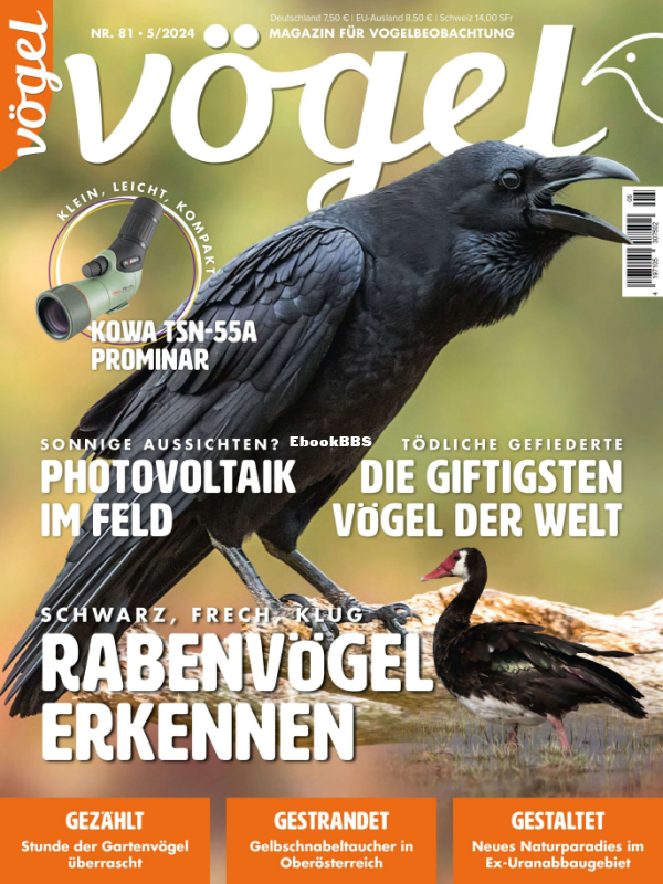 Vögel_5.24 - 1.png