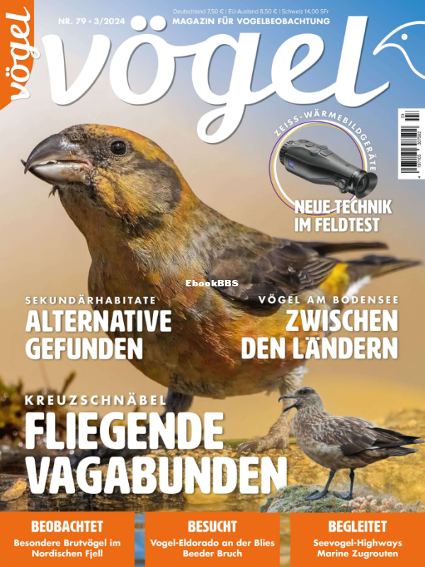 Vögel_3.24 - 1.png