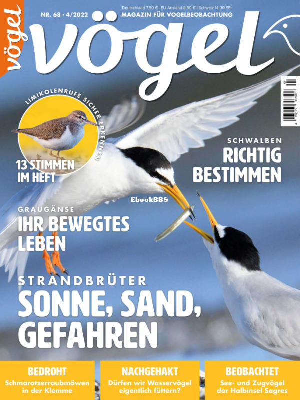 VOGEL_4.2 - 1.png