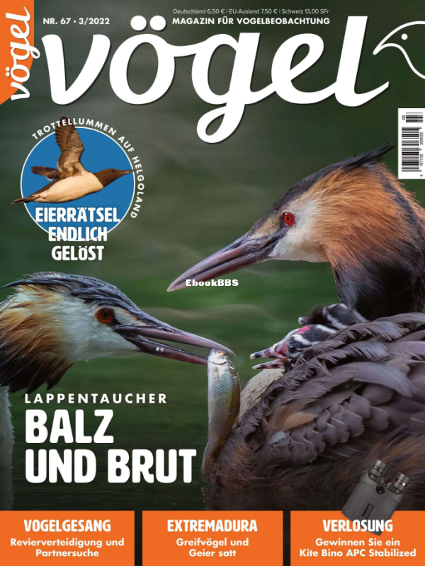 VOGEL_3.22 - 1.png