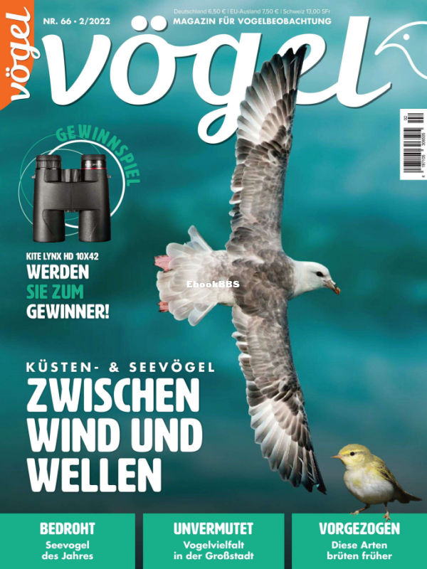 VOGEL_2.22 - 1.png