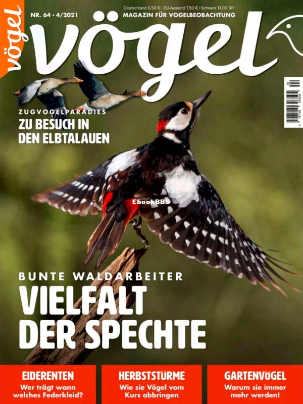 Vögel_4.21 - 1.png