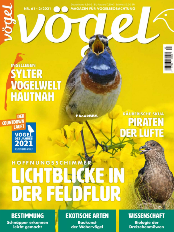Vögel_2.21 - 1.png