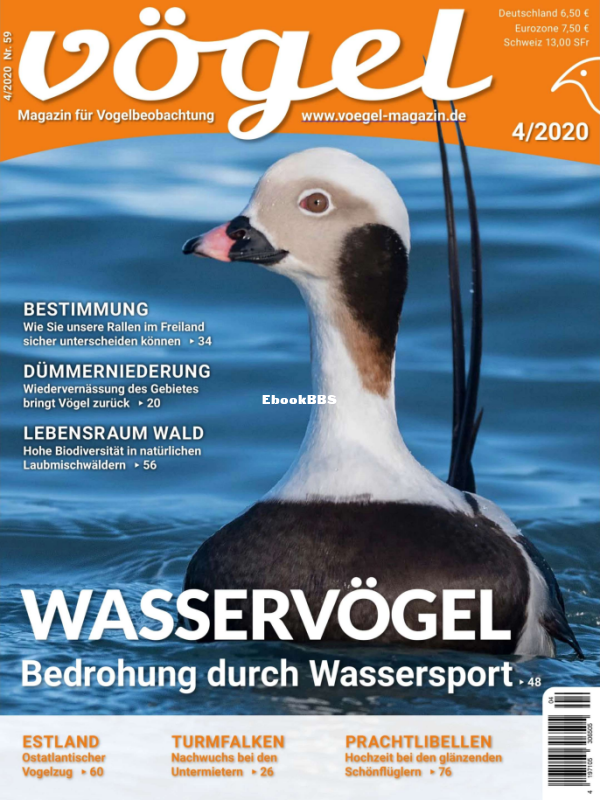 Vögel_4.20 - 1.png