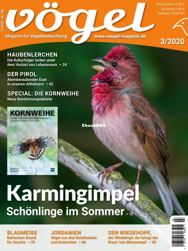 Vögel_3.20 - 1.png