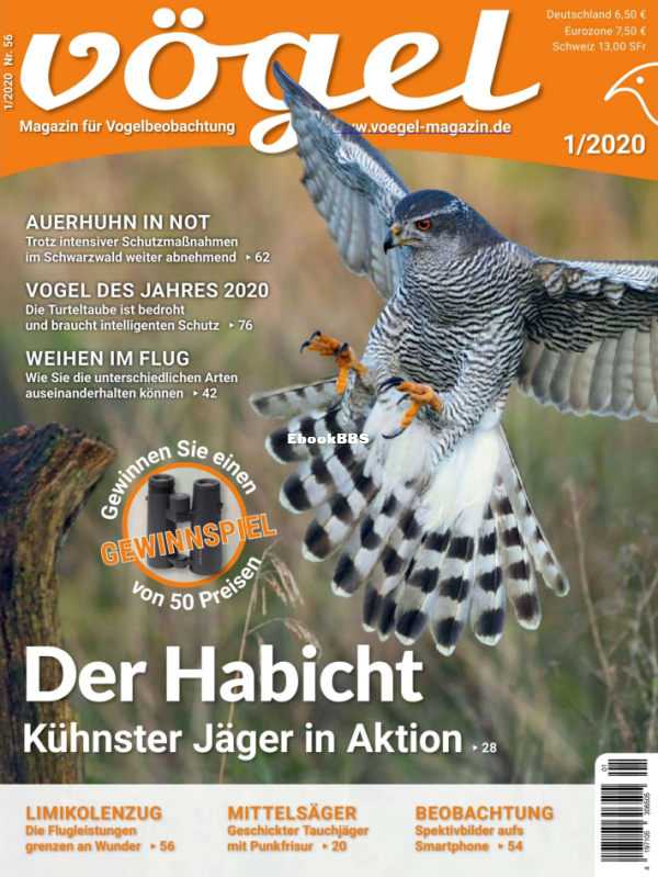 Vögel_1.20 - 1.png