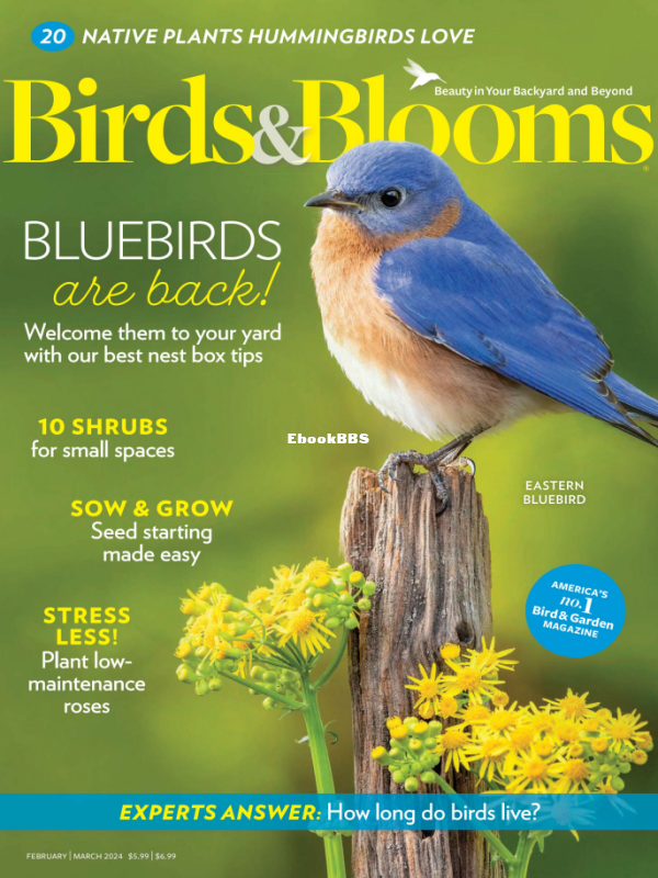 Birds_amp_amp_Blooms_-_February-March_2024 - 1.png