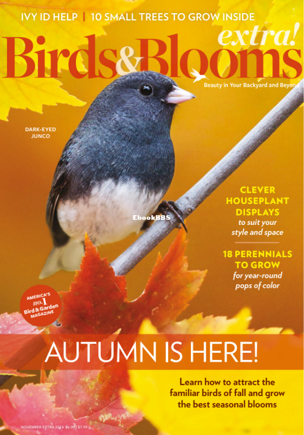 Birds_and_Blooms_Extra_-_November_2024 - 1.png