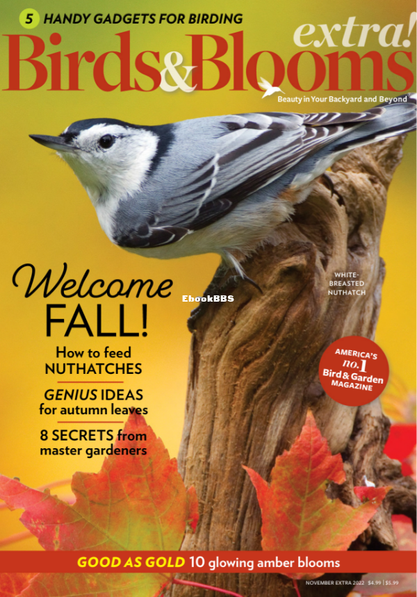 Birds_and_Blooms_Extra_-_November_2022 - 1.png