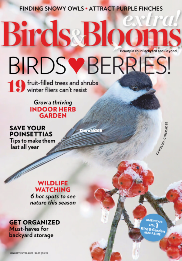 Birds_and_Blooms_Extra_-_January_2021 - 2.png