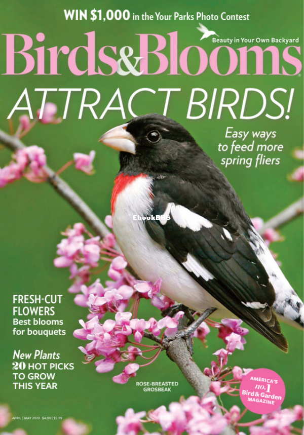 Birds_amp_Blooms_-_April-May_2020 - 2.png