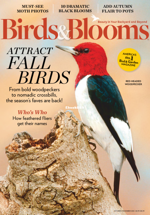 Birds_amp_Blooms_-_October-November_2020 - 2.png