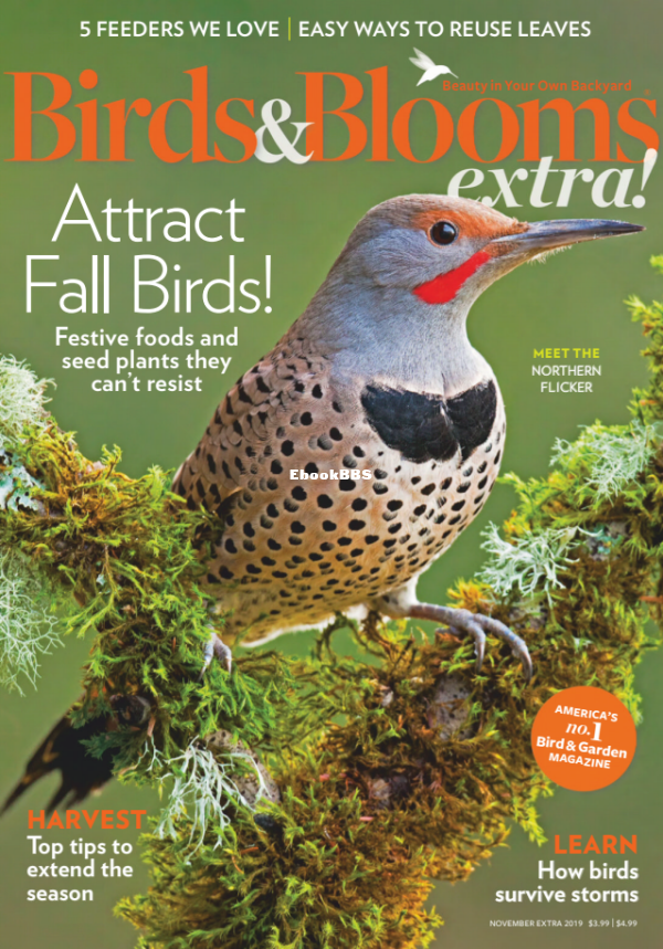 Birds_and_Blooms_Extra_-_November_01_2019 - 2.png