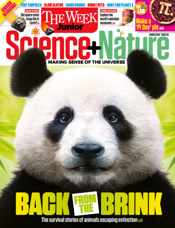 The_Week_Junior_Science_Nature_UK_-_March_2025 - 1.png