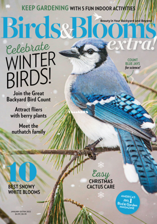 Birds and Blooms Extra 01.2022 - 1.png