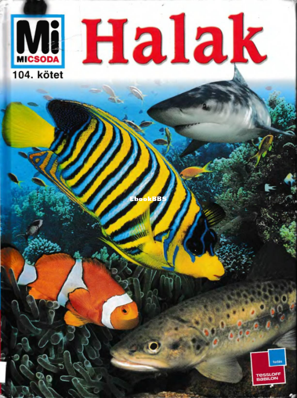 Mi micsoda 104 Fischer Torsten Halak - 1.png