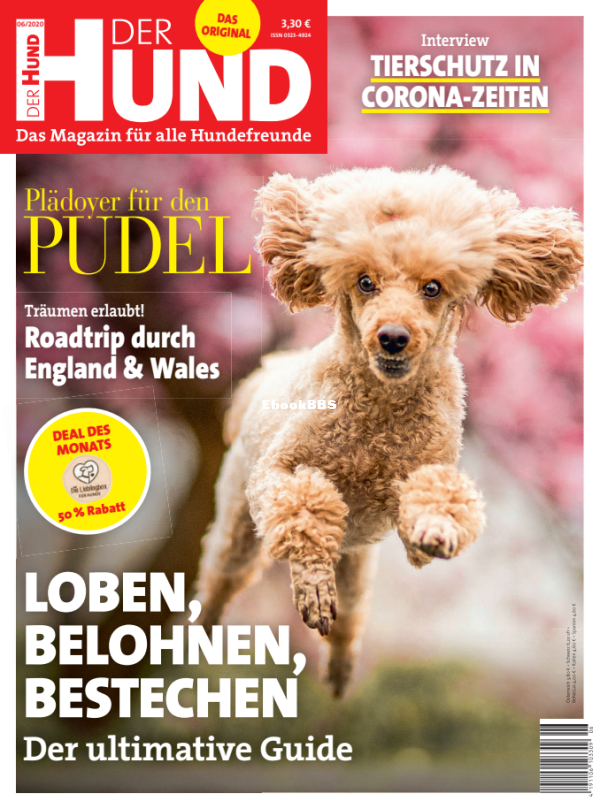 Der_Hund_6.20 - 1.png