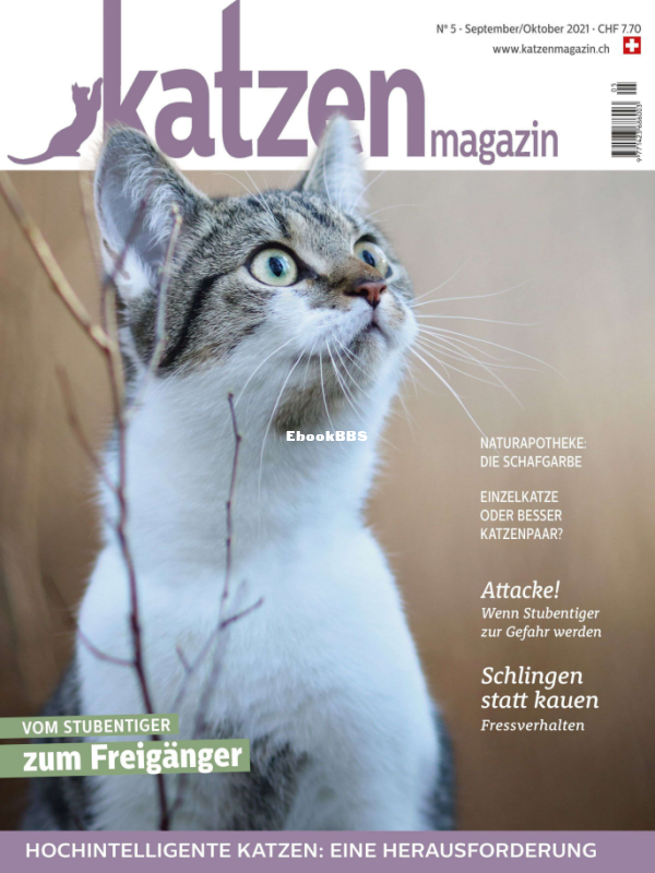 Katzen_9-10.21 - 1.png