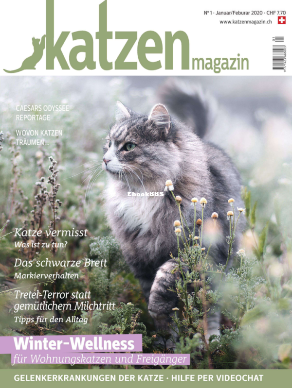 Katzen_1-2.20 - 1.png