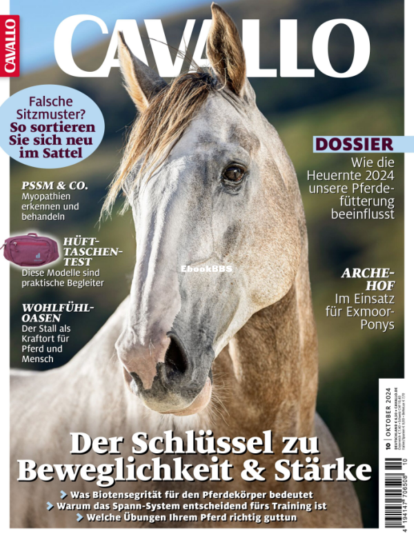 Cavallo_10.24 - 1.png