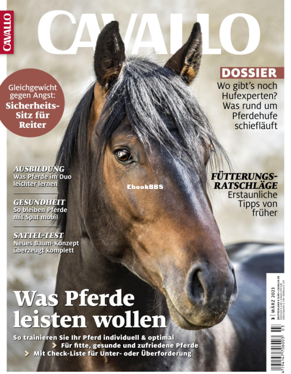Cavallo_3.23 - 1.png
