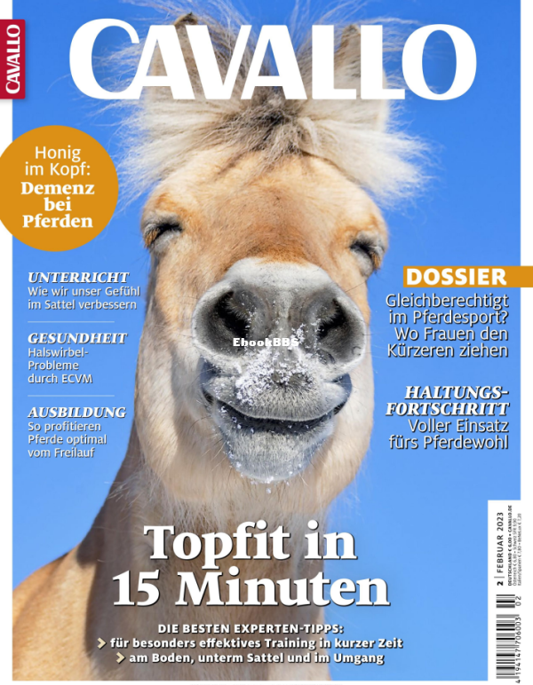 Cavallo_2.23 - 1.png